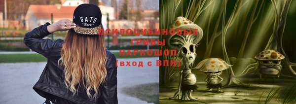 прущие грибы Зеленокумск