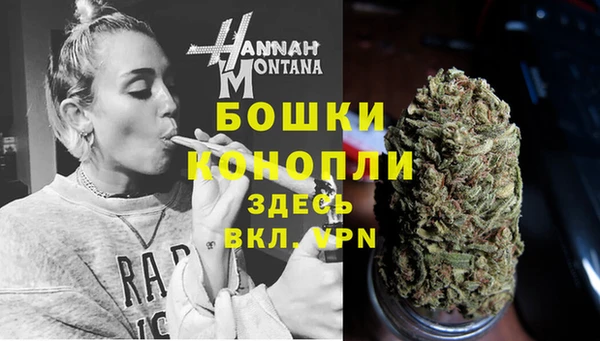 прущие грибы Зеленокумск